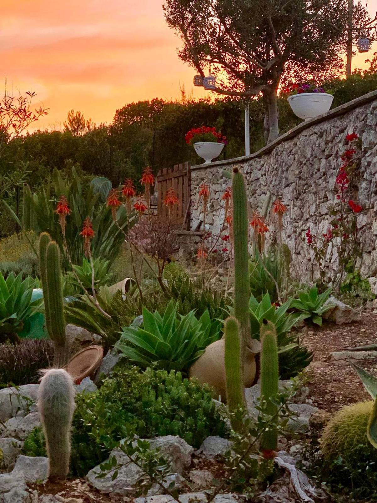 Villa Valeria Corsano  ภายนอก รูปภาพ